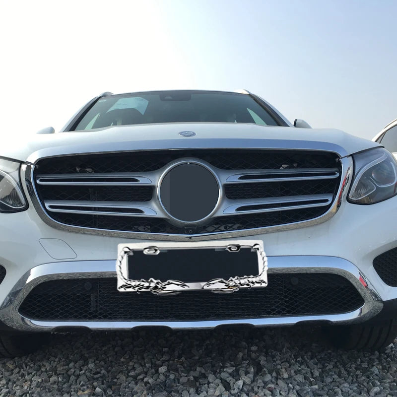 Scorpion-shaped license plate frame,